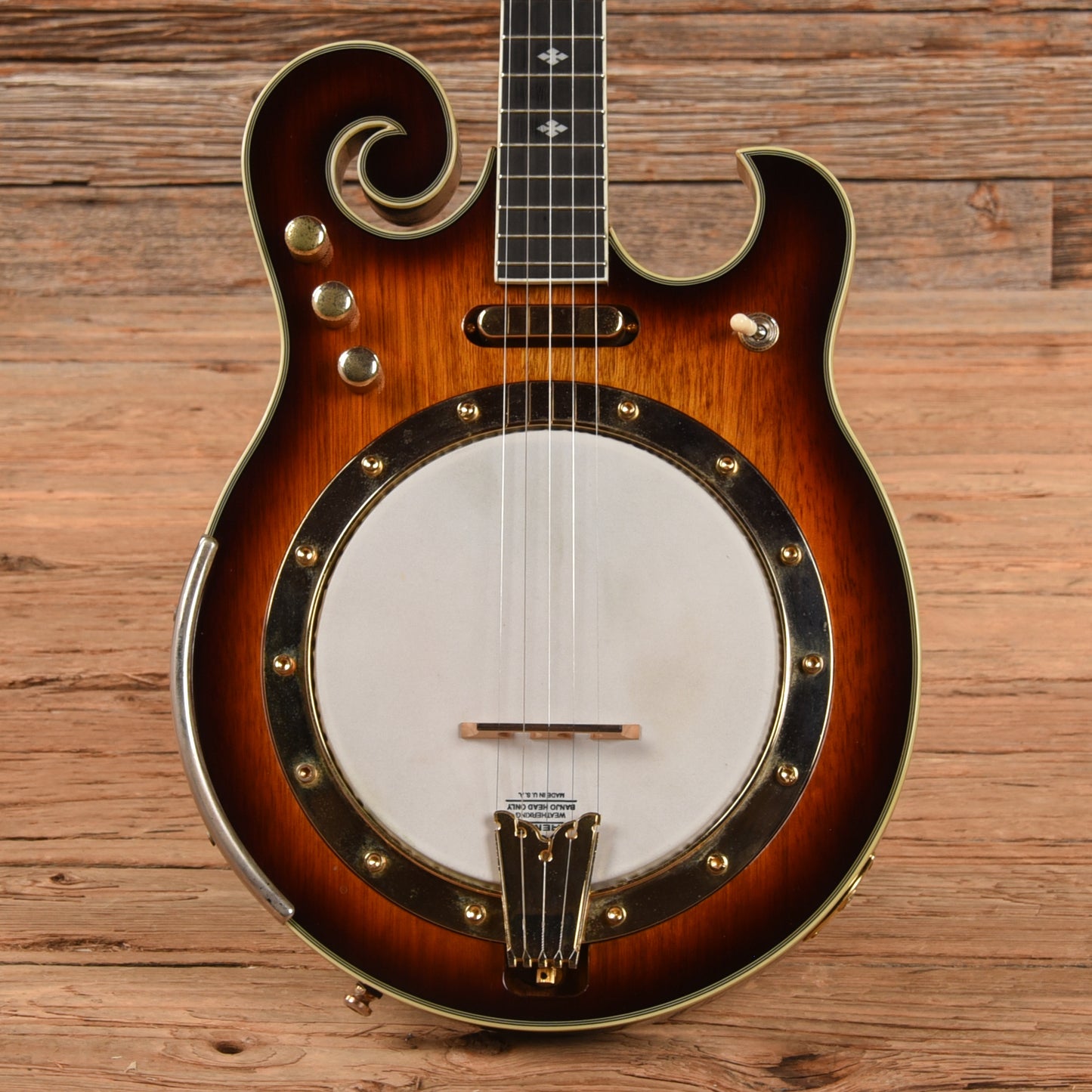 Gold Tone EBM-5 ELectric Banjo Folk Instruments / Banjos
