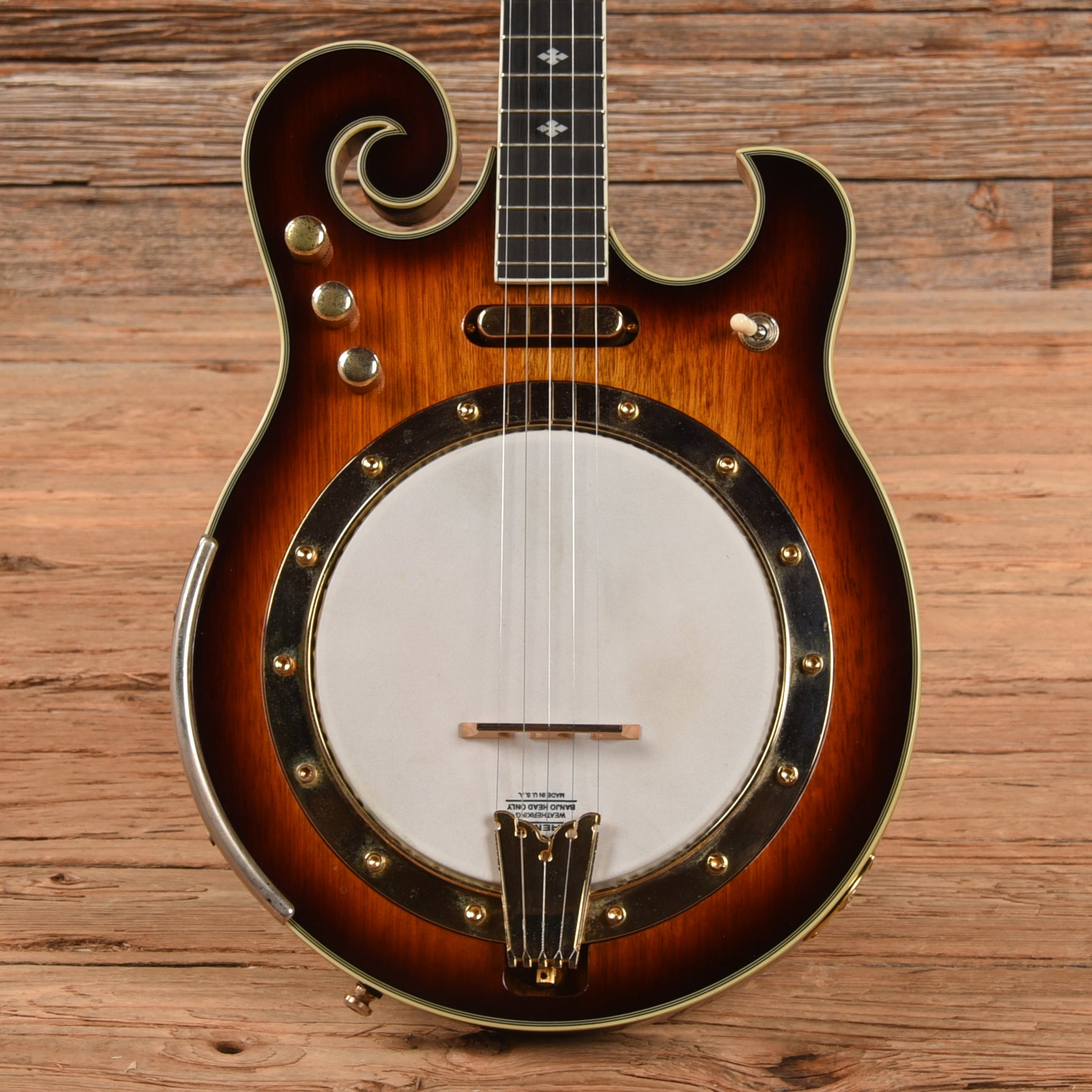 Gold Tone EBM-5 ELectric Banjo Folk Instruments / Banjos