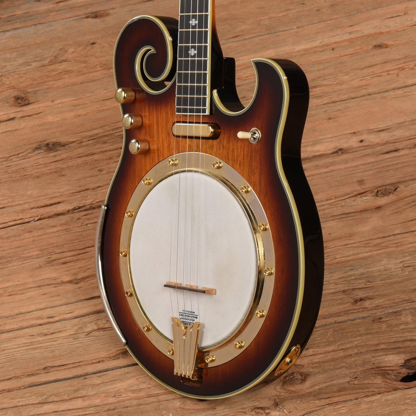Gold Tone EBM-5 ELectric Banjo Folk Instruments / Banjos