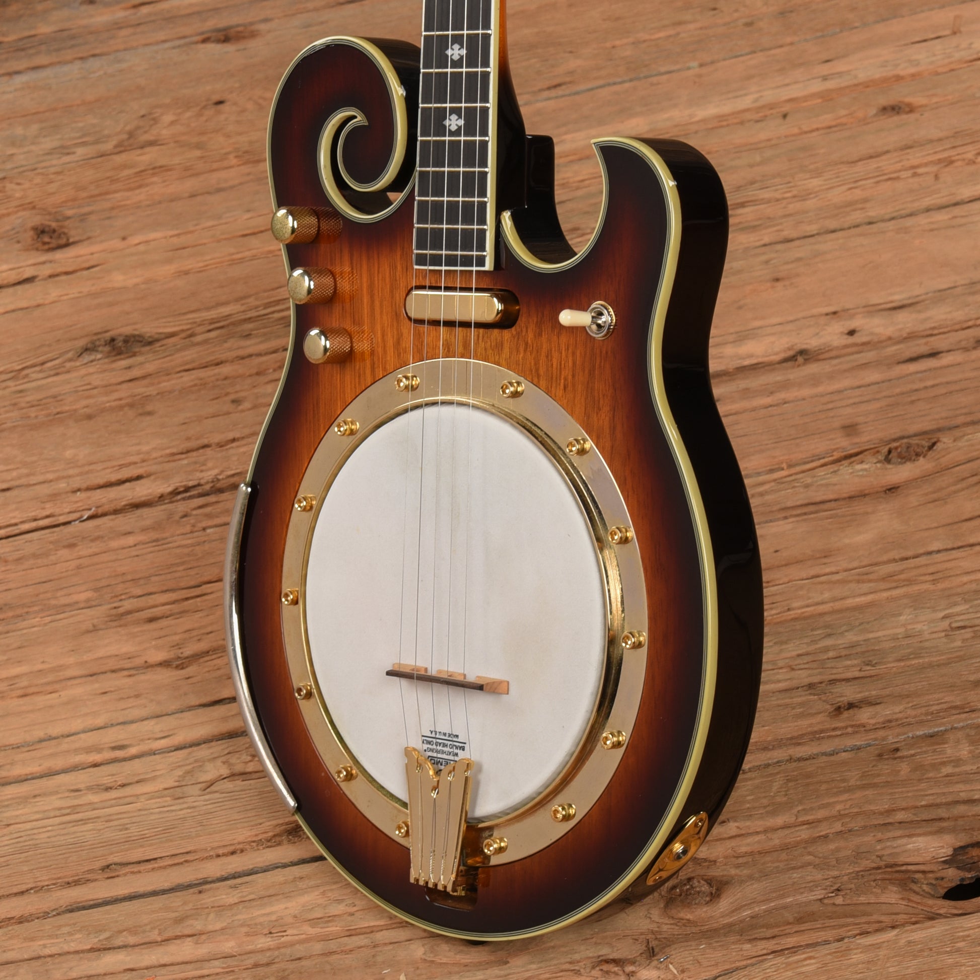 Gold Tone EBM-5 ELectric Banjo Folk Instruments / Banjos
