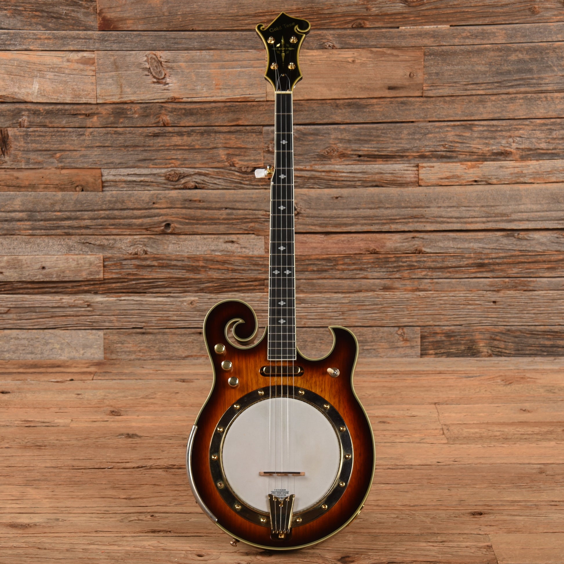 Gold Tone EBM-5 ELectric Banjo Folk Instruments / Banjos
