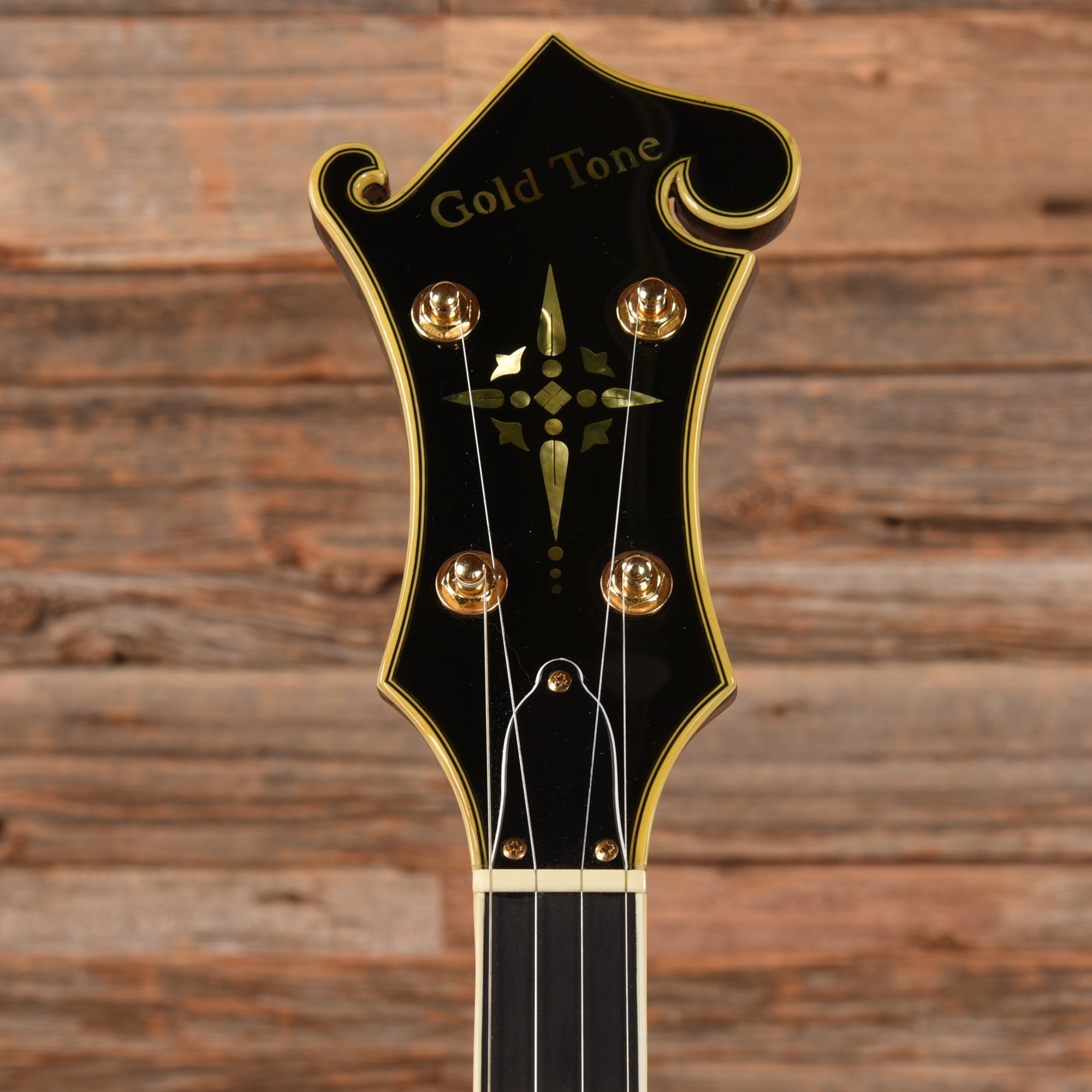 Gold Tone EBM-5 ELectric Banjo Folk Instruments / Banjos