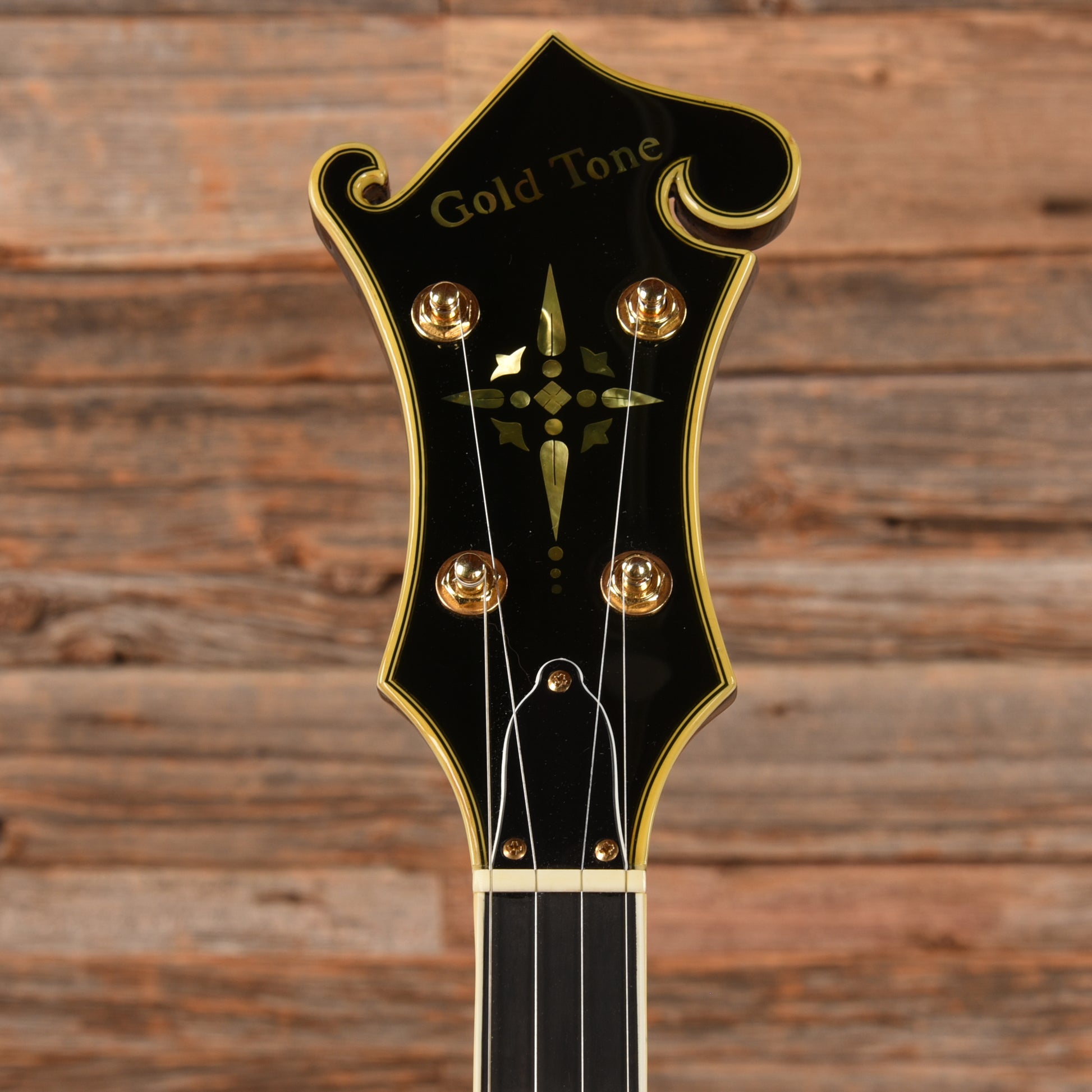 Gold Tone EBM-5 ELectric Banjo Folk Instruments / Banjos