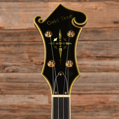 Gold Tone EBM-5 ELectric Banjo Folk Instruments / Banjos