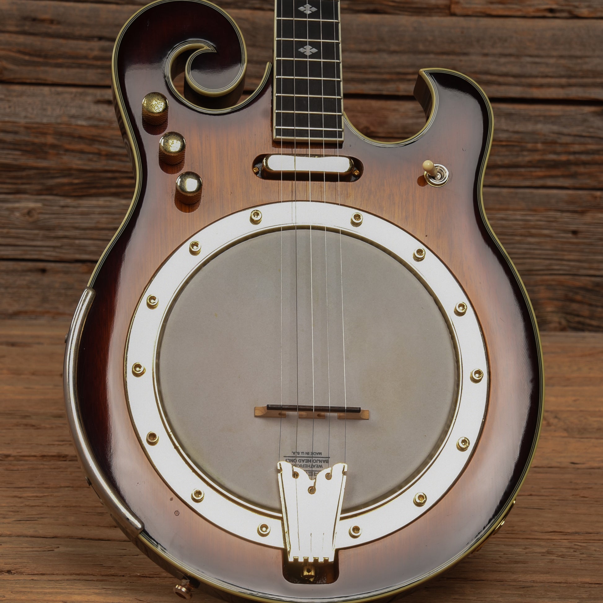 Gold Tone EBM-5 ELectric Banjo Folk Instruments / Banjos