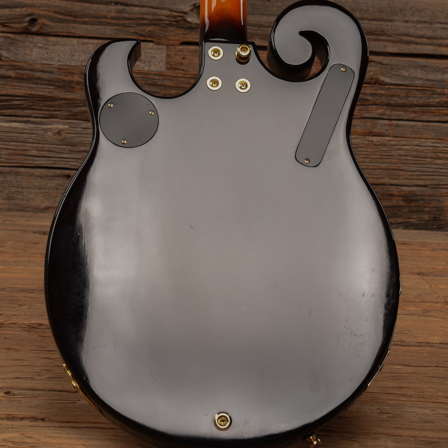 Gold Tone EBM-5 ELectric Banjo Folk Instruments / Banjos
