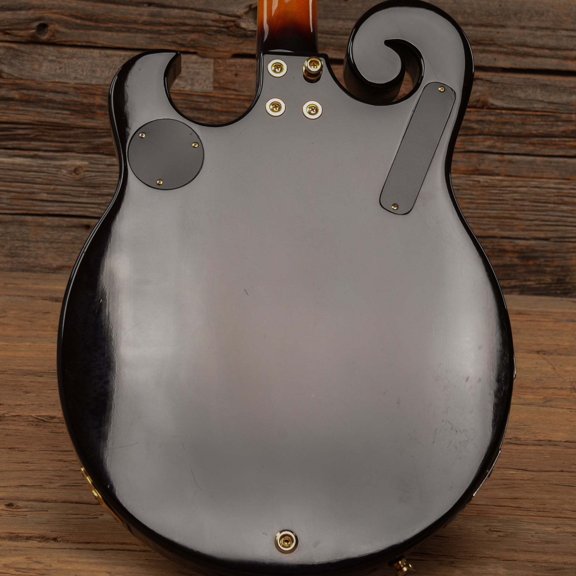 Gold Tone EBM-5 ELectric Banjo Folk Instruments / Banjos