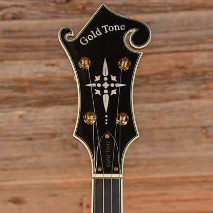 Gold Tone EBM-5 Electric Banjo Sunburst 2023 Folk Instruments / Banjos