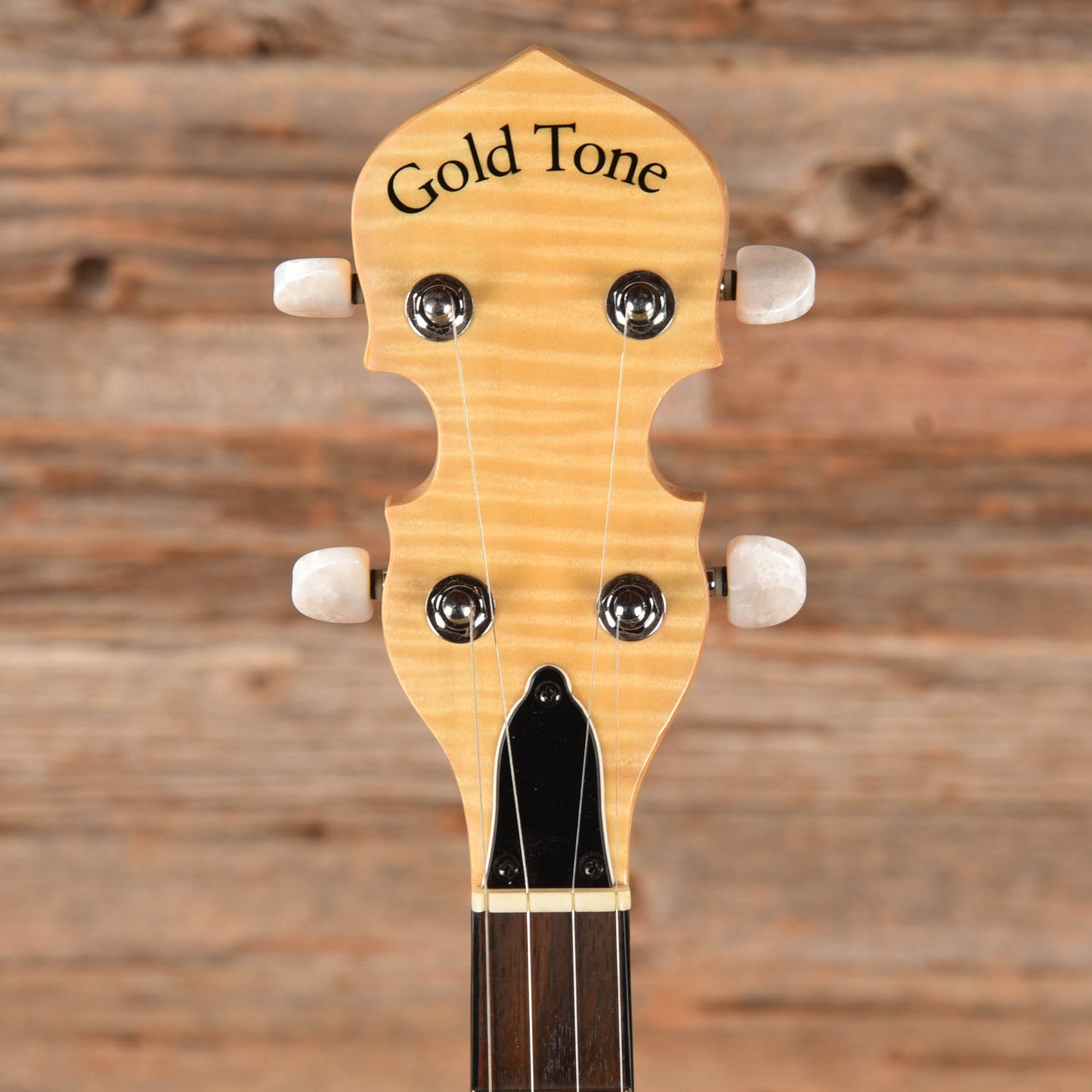 Gold Tone MC150R Folk Instruments / Banjos