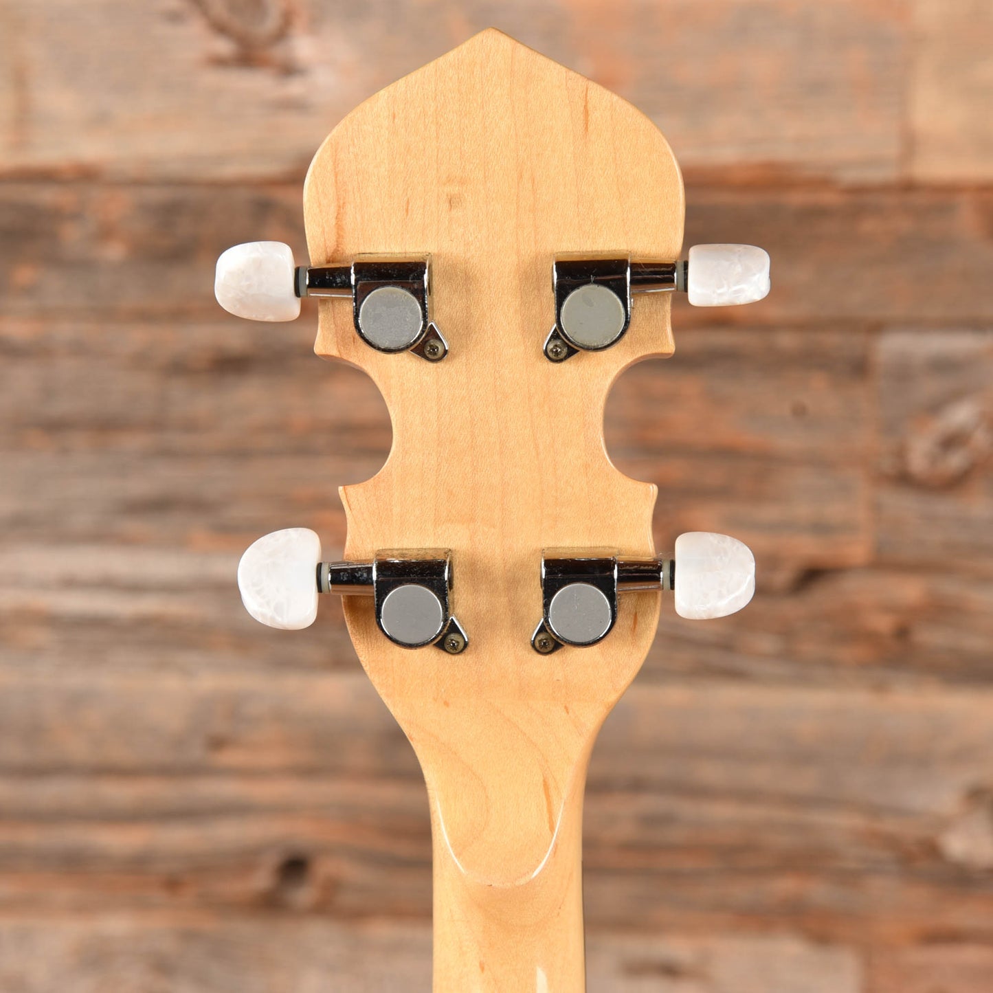 Gold Tone MC150R Folk Instruments / Banjos