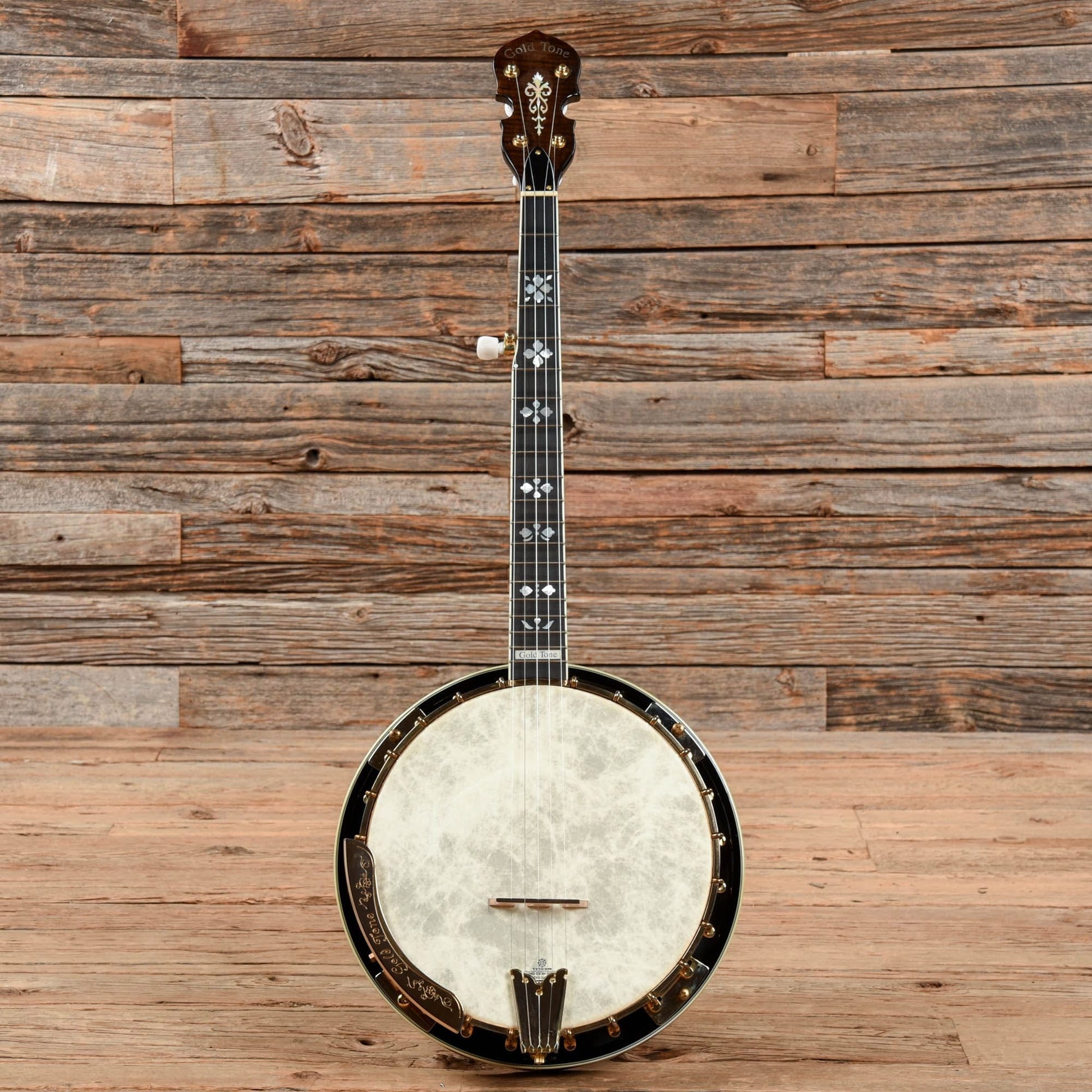 Gold Tone TB-250 Folk Instruments / Banjos