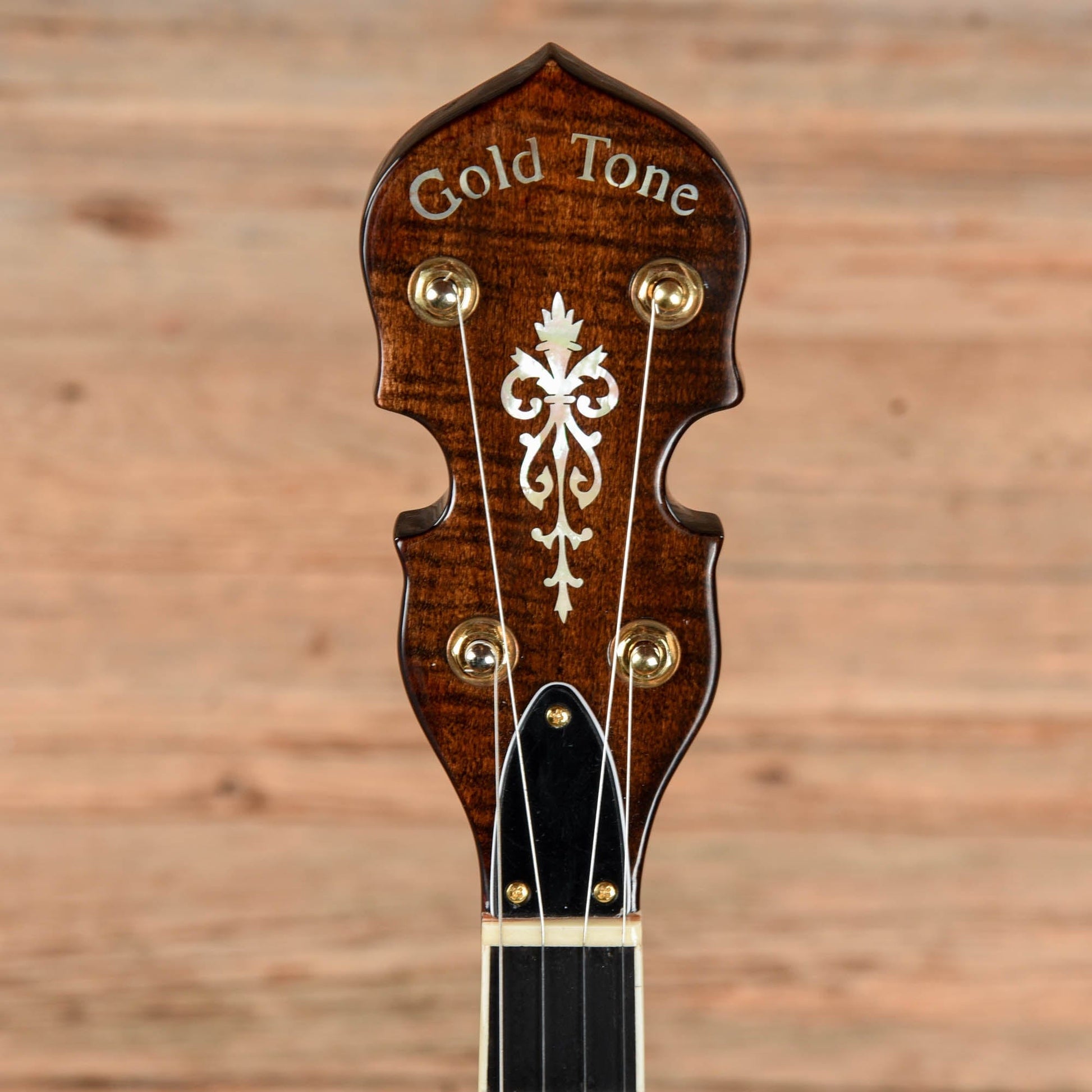 Gold Tone TB-250 Folk Instruments / Banjos