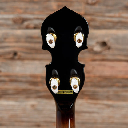 Gold Tone TB-250 Folk Instruments / Banjos