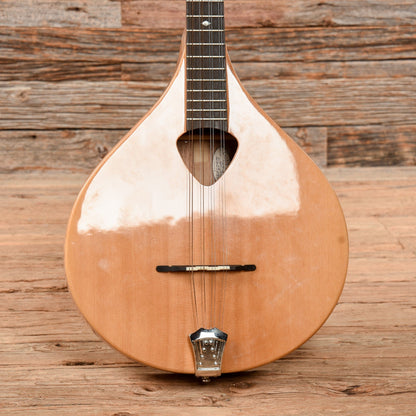 Gold Tone BZ-500 Irish Bouzouki Natural 2021 Folk Instruments / Mandolins