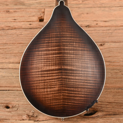 Gold Tone GM-55 A-Style Mandolin Sunburst Folk Instruments / Mandolins