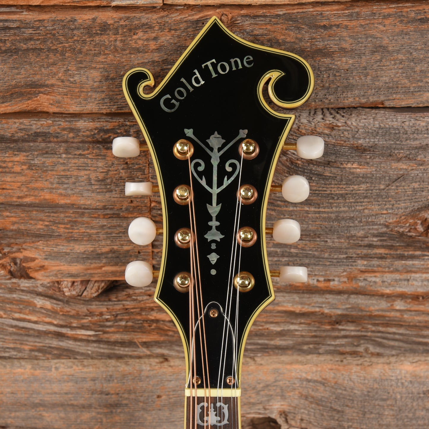 Gold Tone GM-70 Sunburst Folk Instruments / Mandolins