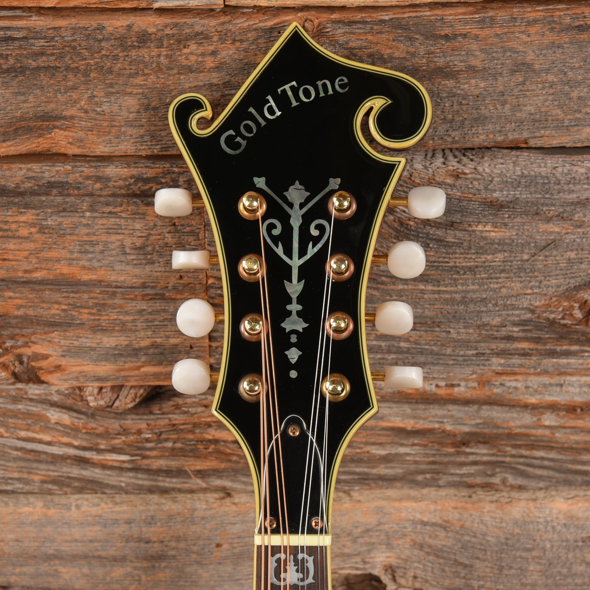 Gold Tone GM-70 Sunburst Folk Instruments / Mandolins