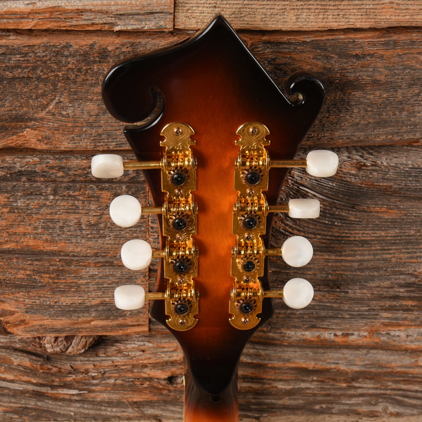 Gold Tone GM-70 Sunburst Folk Instruments / Mandolins