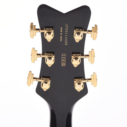 Gretsch G6134TG Limited Edition Paisley Penguin w/String-Thru Bigsby Black Paisley Electric Guitars / Solid Body
