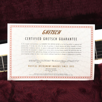 Gretsch Limited Edition G6134TG Paisley Penguin with String-Thru Bigsby Gold Paisley Electric Guitars / Solid Body