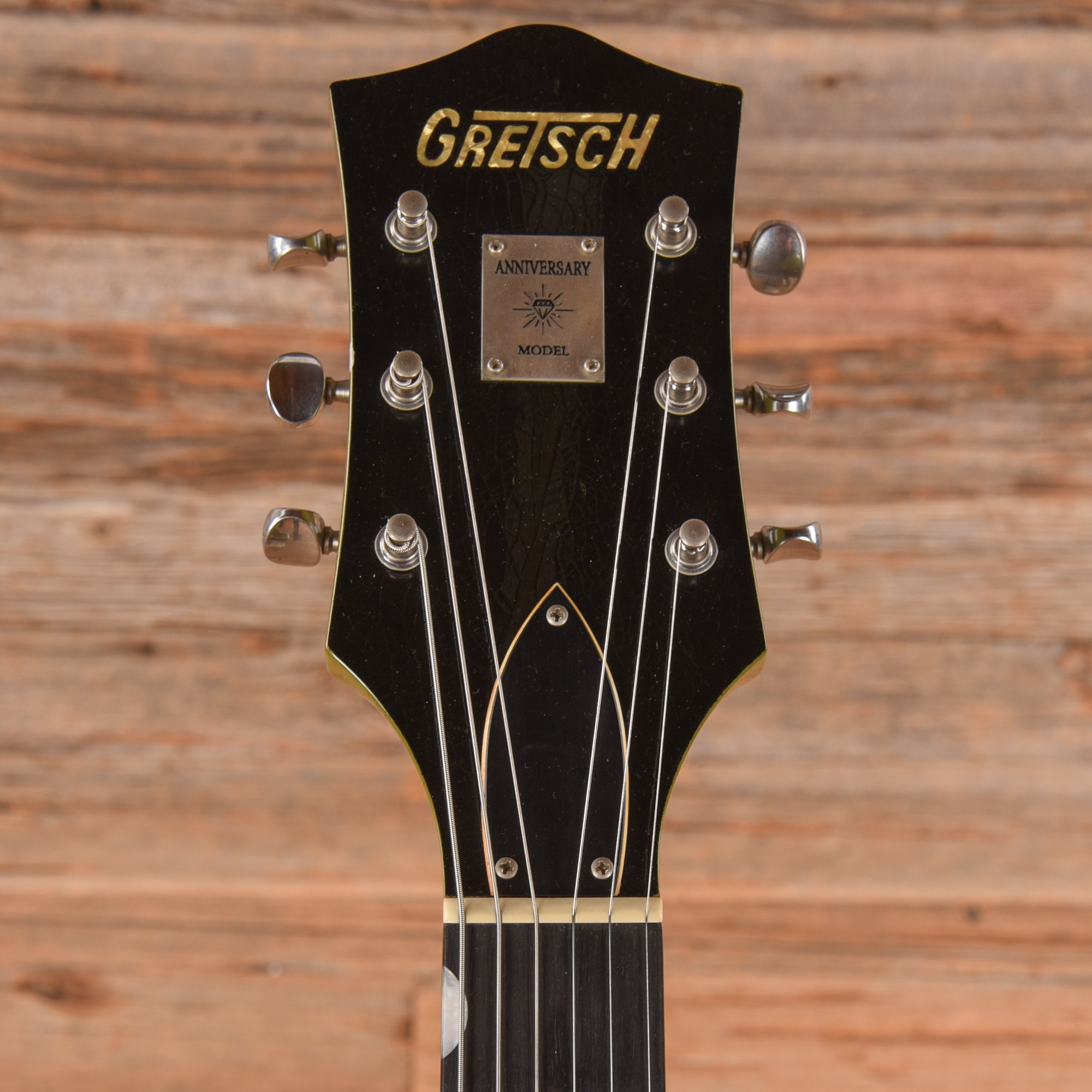 Gretsch G6118TCST Hand Painted Forest Portrait 2007 - Zac Brown