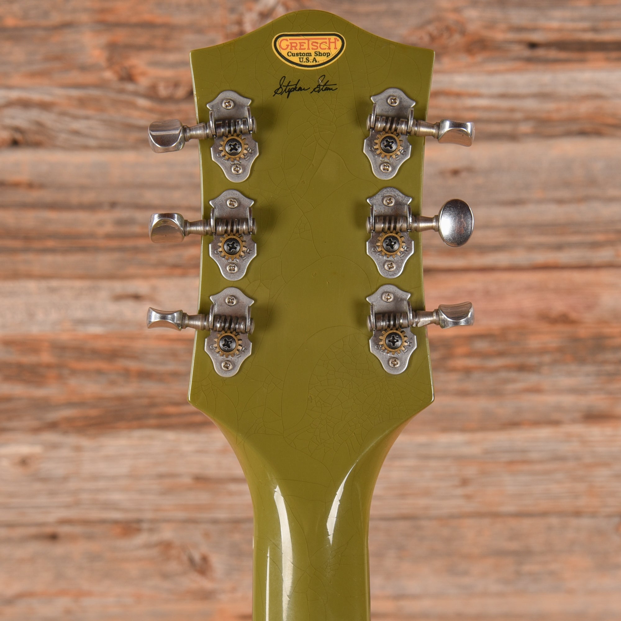 Gretsch G6118TCST Hand Painted Forest Portrait 2007 - Zac Brown