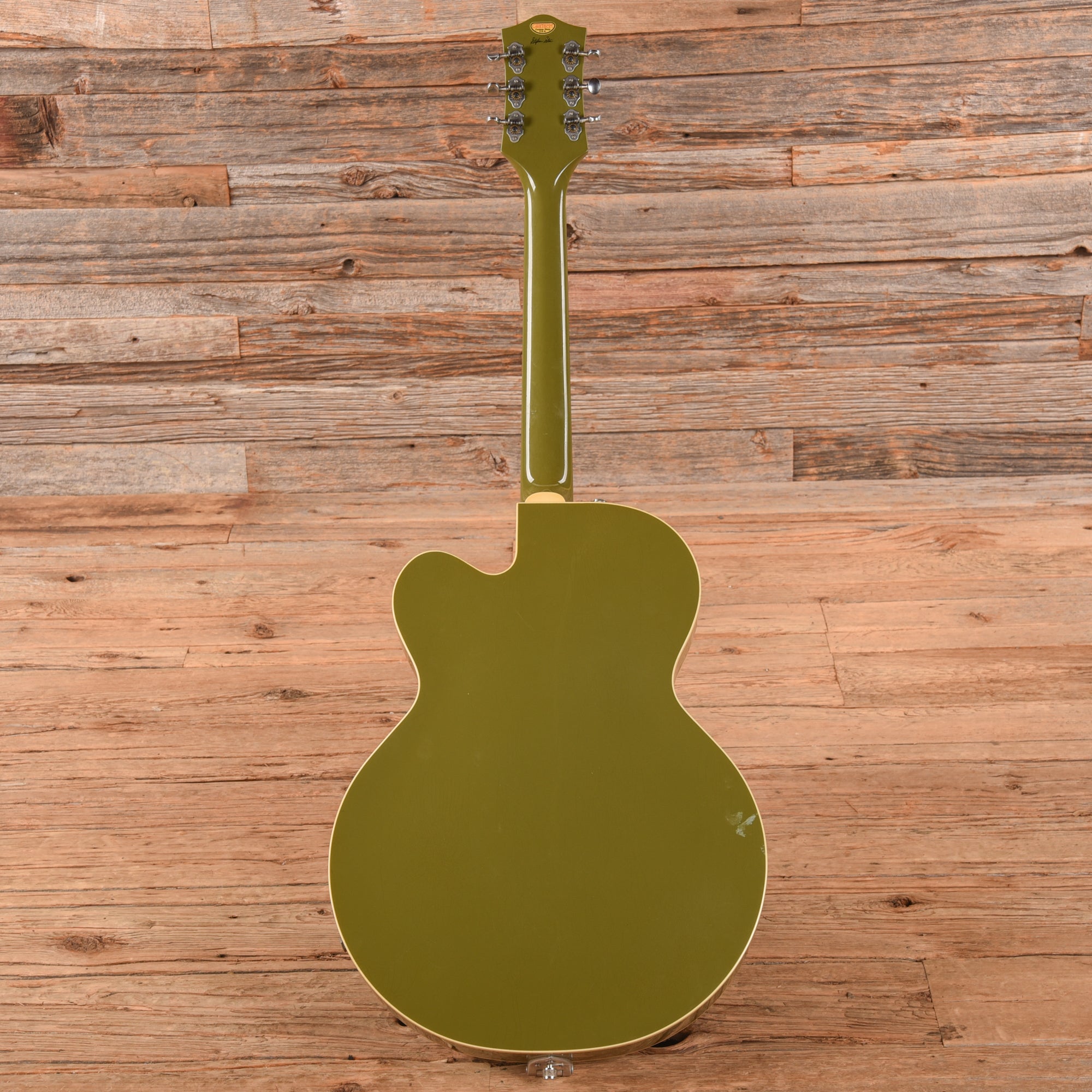 Gretsch G6118TCST Hand Painted Forest Portrait 2007 - Zac Brown