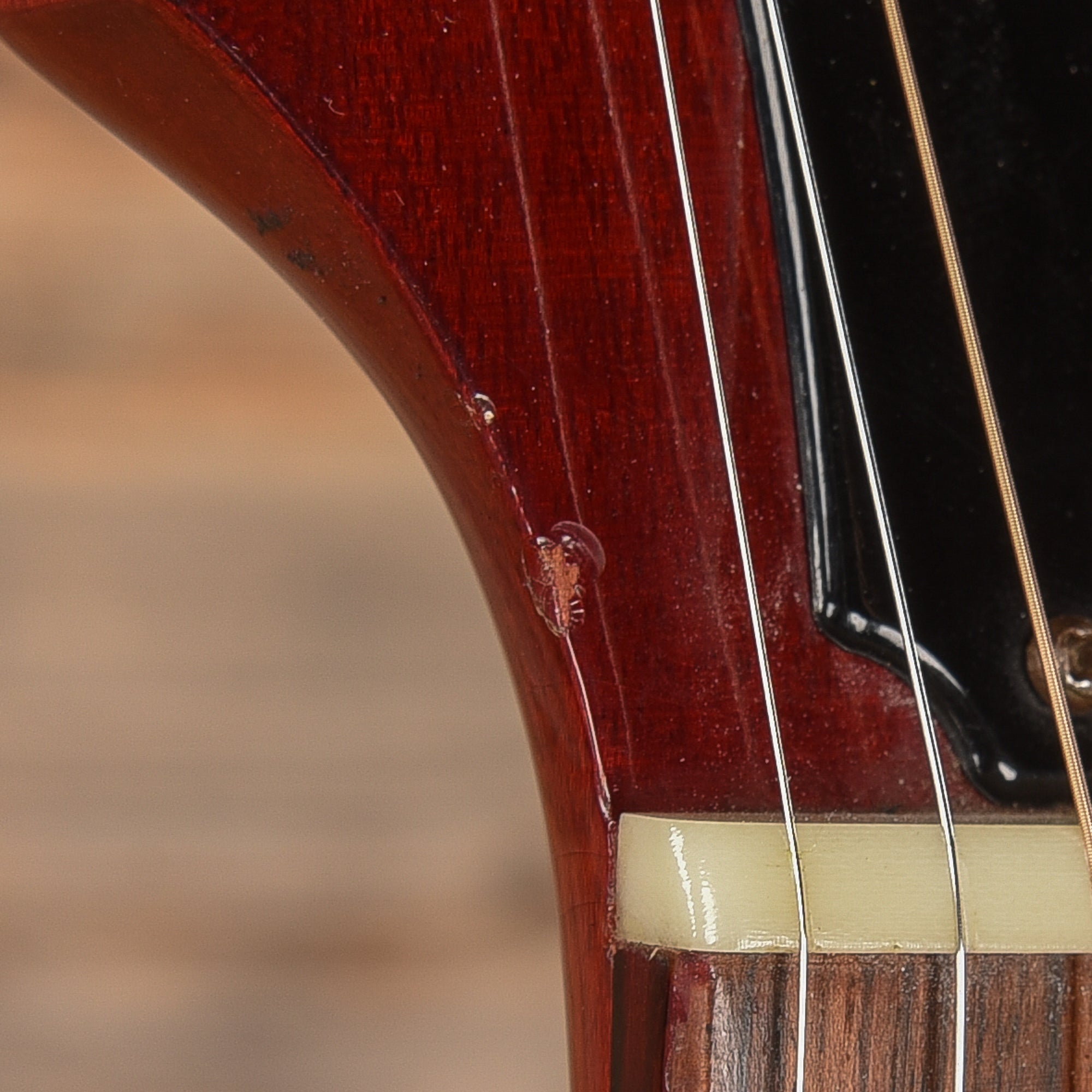 Guild D-25 Cherry 1976 LEFTY Acoustic Guitars / Dreadnought