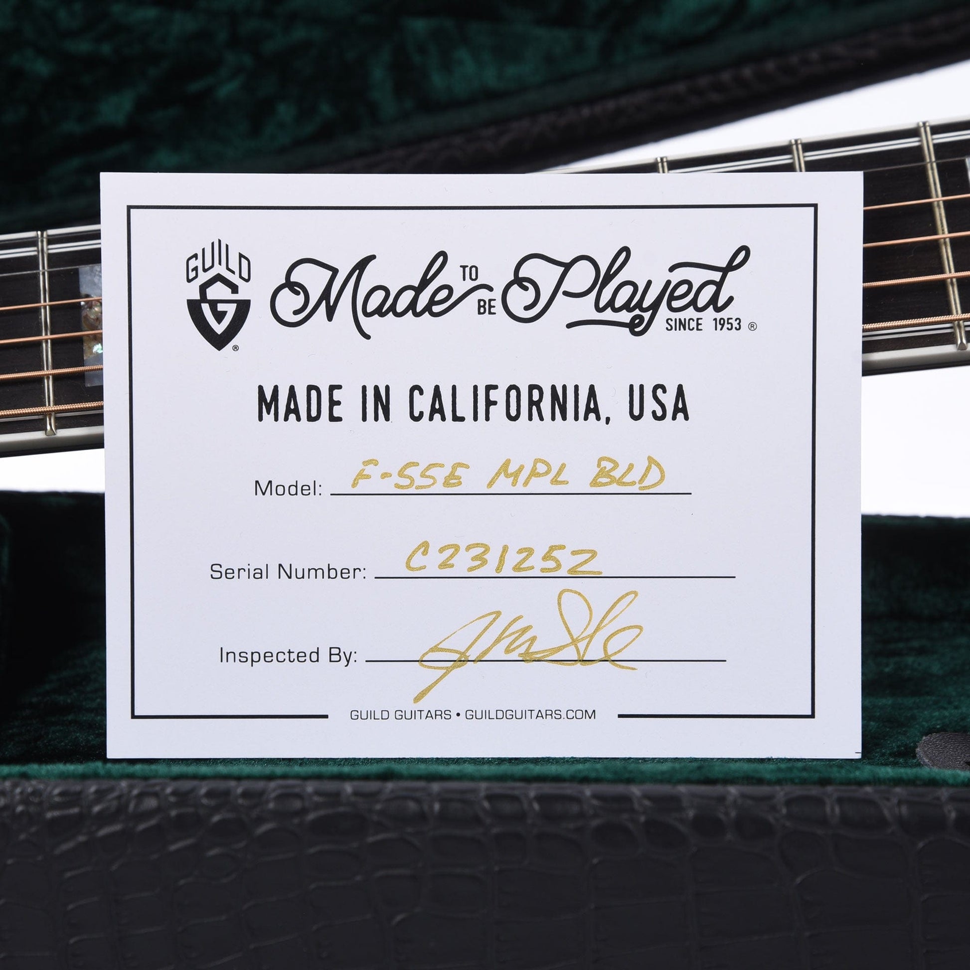 Guild USA F-55E Maple Jumbo Sitka/Archback Maple Natural Acoustic Guitars / Jumbo