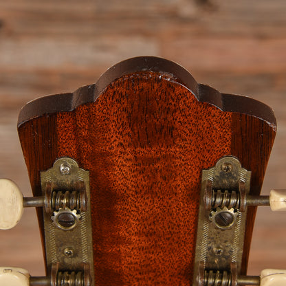 Guild M-20 Brown 1965