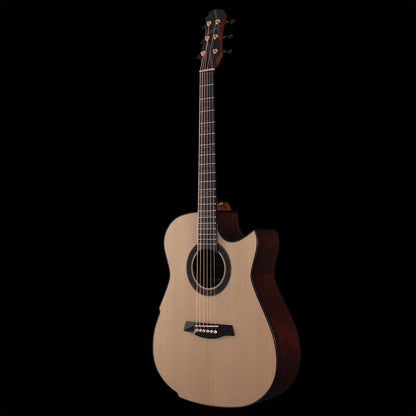 Hozen Gold Label Mod-D (BGS 2026) Acoustic Guitars