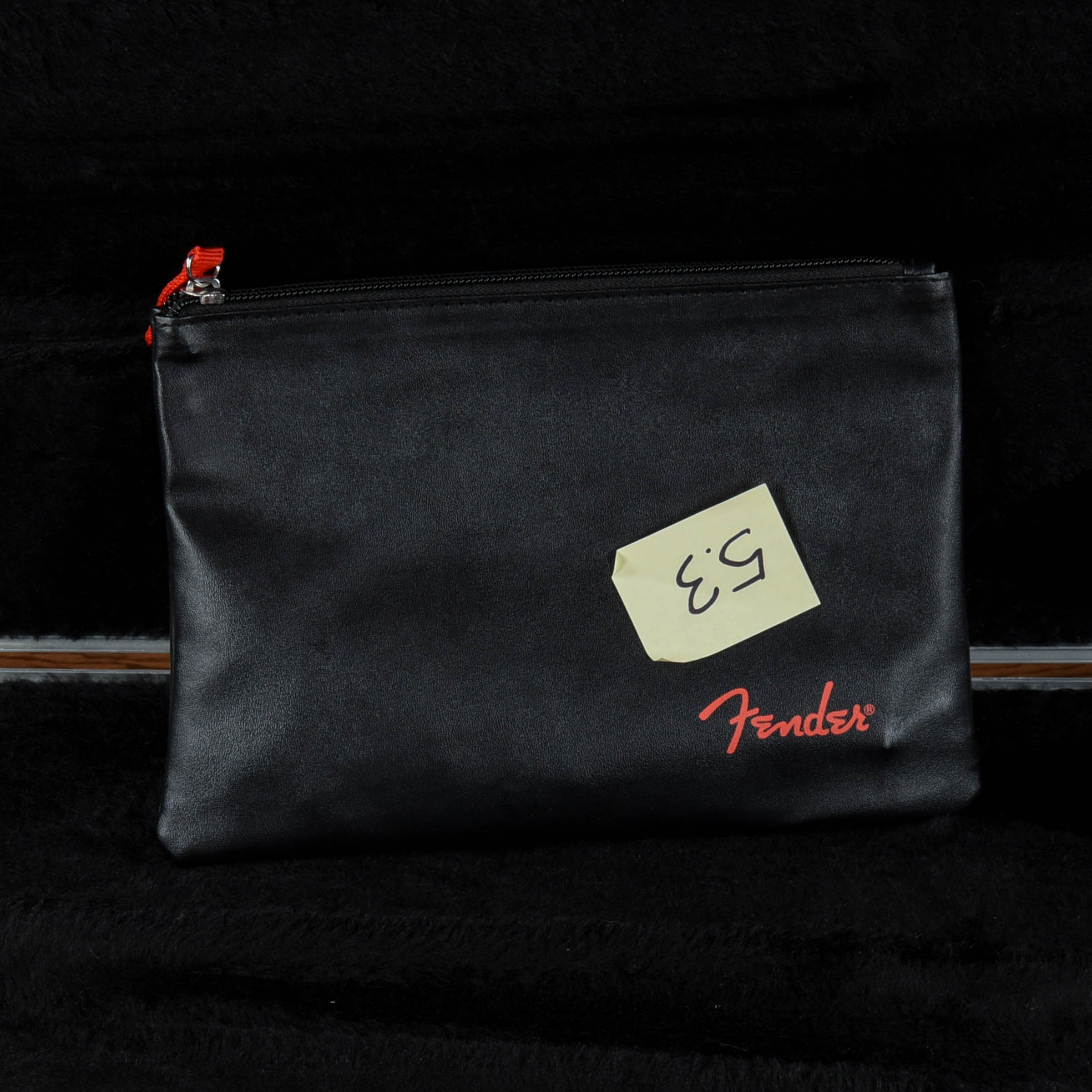 Fender American Professional Stratocaster Lake Placid Blue 2019