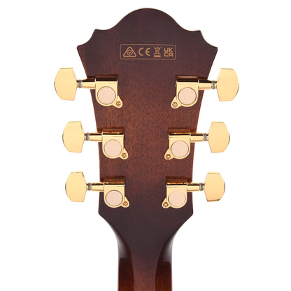 Ibanez AE340FMHMHS Acoustic-Electric Guitar Mahogany Sunburst High Gloss Acoustic Guitars / Classical
