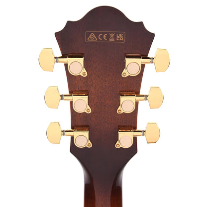 Ibanez AE340FMHMHS Acoustic-Electric Guitar Mahogany Sunburst High Gloss Acoustic Guitars / Classical