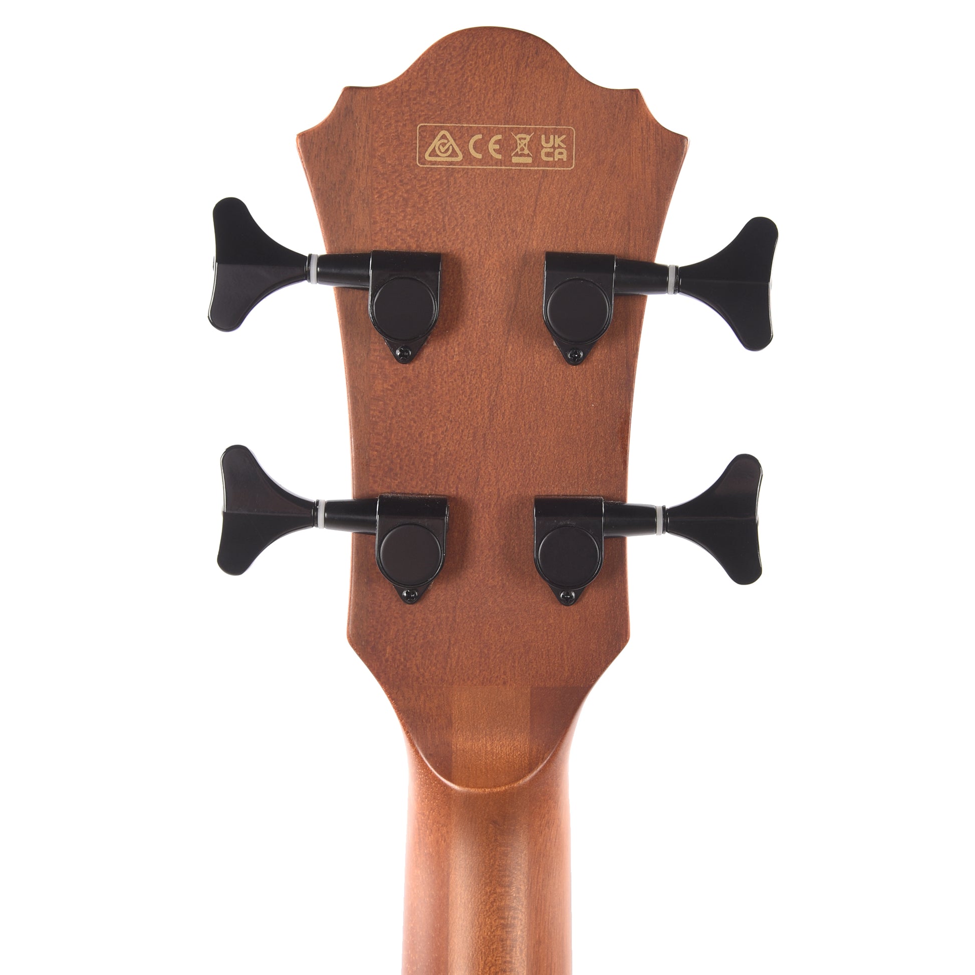 Ibanez AEGB24FEMHS Fretless Acoustic-Electric Bass Mahogany Sunburst High Gloss Acoustic Guitars / Classical