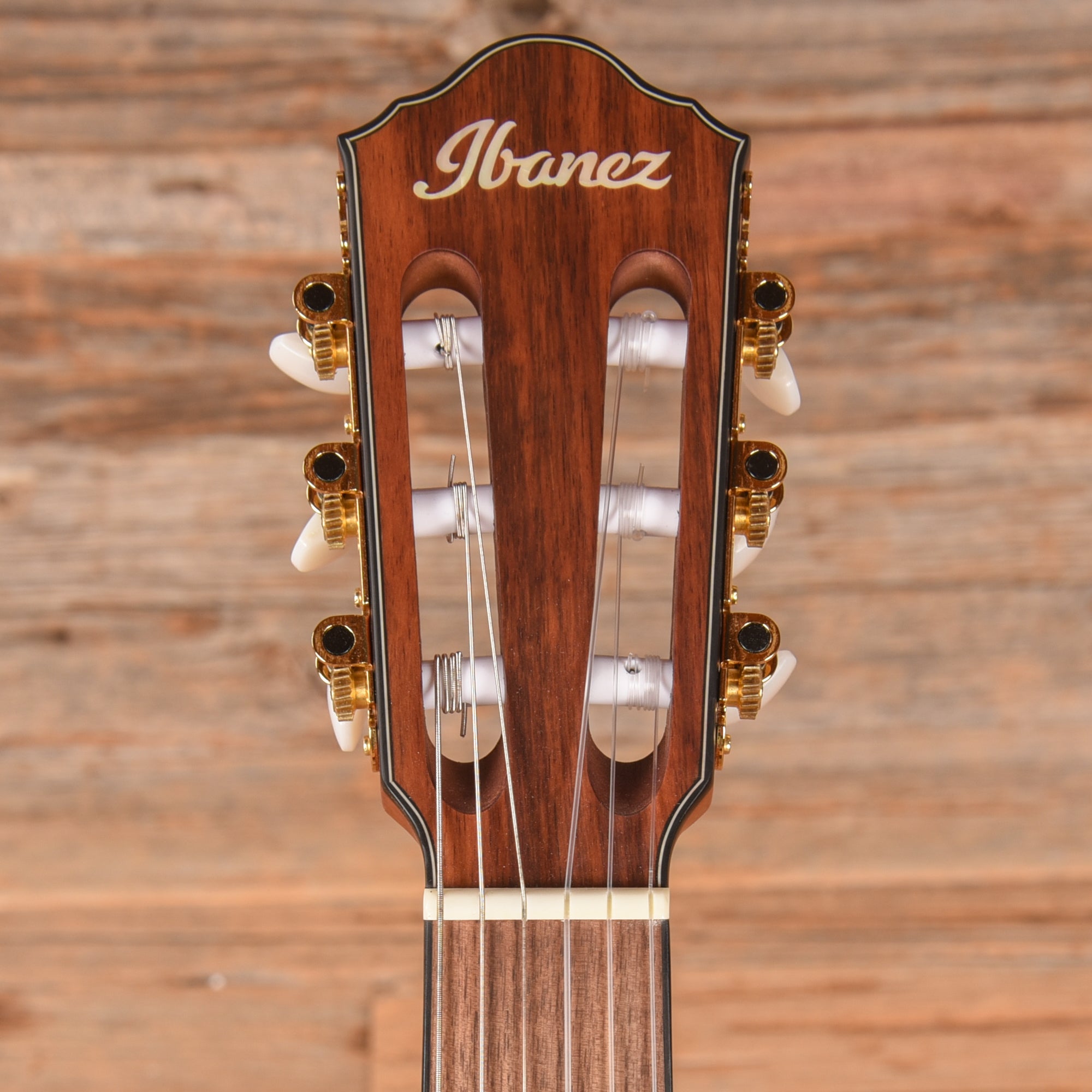 Ibanez FRH10N Rose Gold Metallic Flat 2024 Acoustic Guitars / Classical