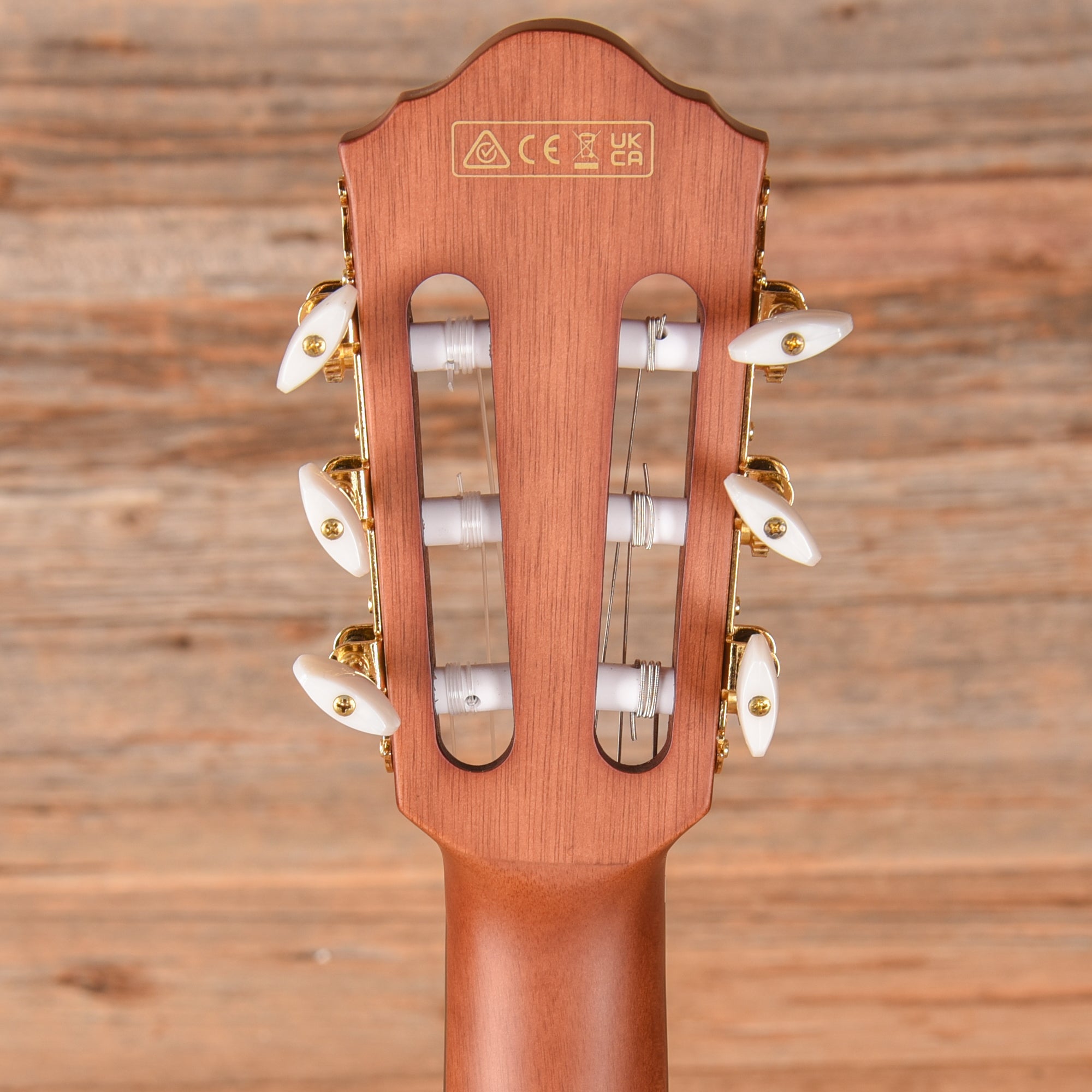 Ibanez FRH10N Rose Gold Metallic Flat 2024 Acoustic Guitars / Classical