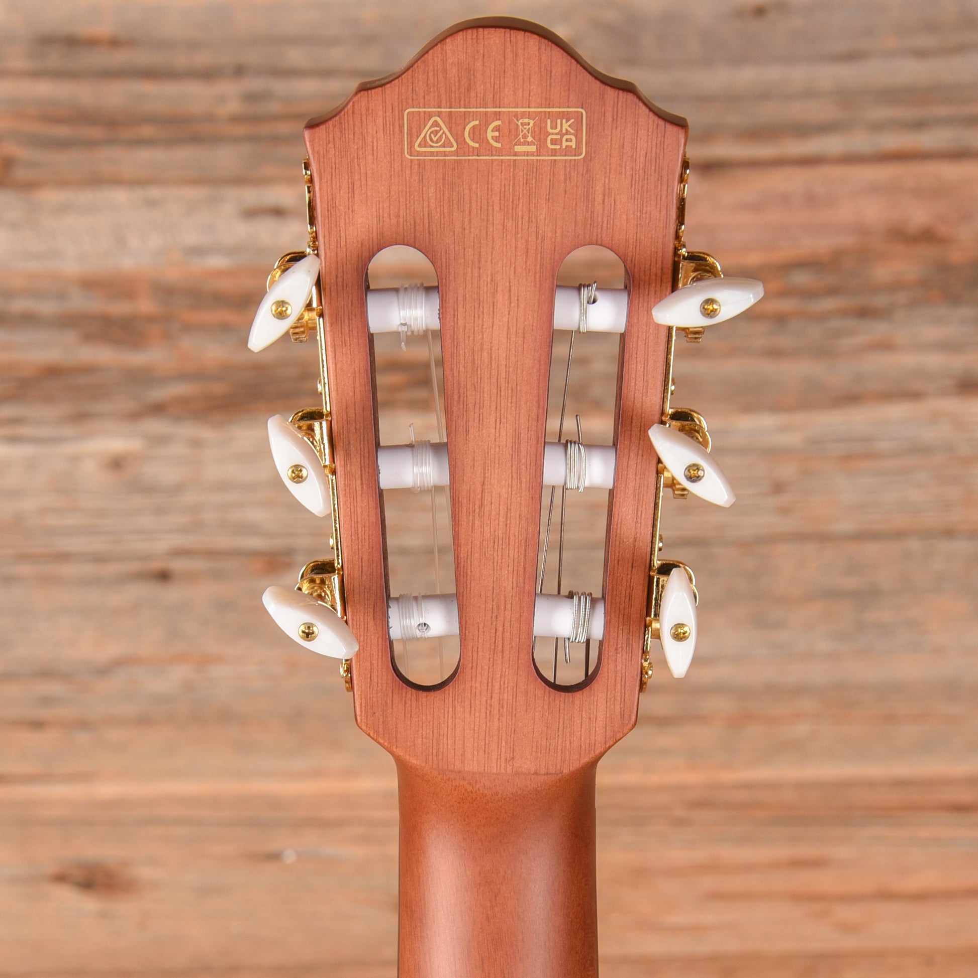 Ibanez FRH10N Rose Gold Metallic Flat 2024 Acoustic Guitars / Classical