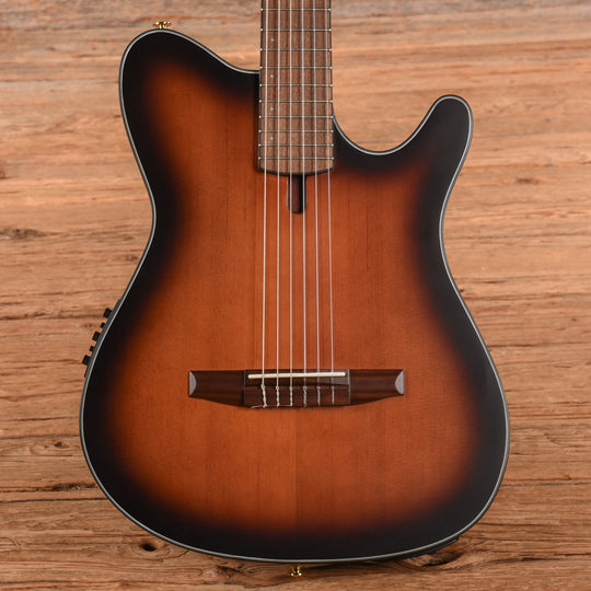 Ibanez FRH10N Sunburst 2024 Acoustic Guitars / Classical