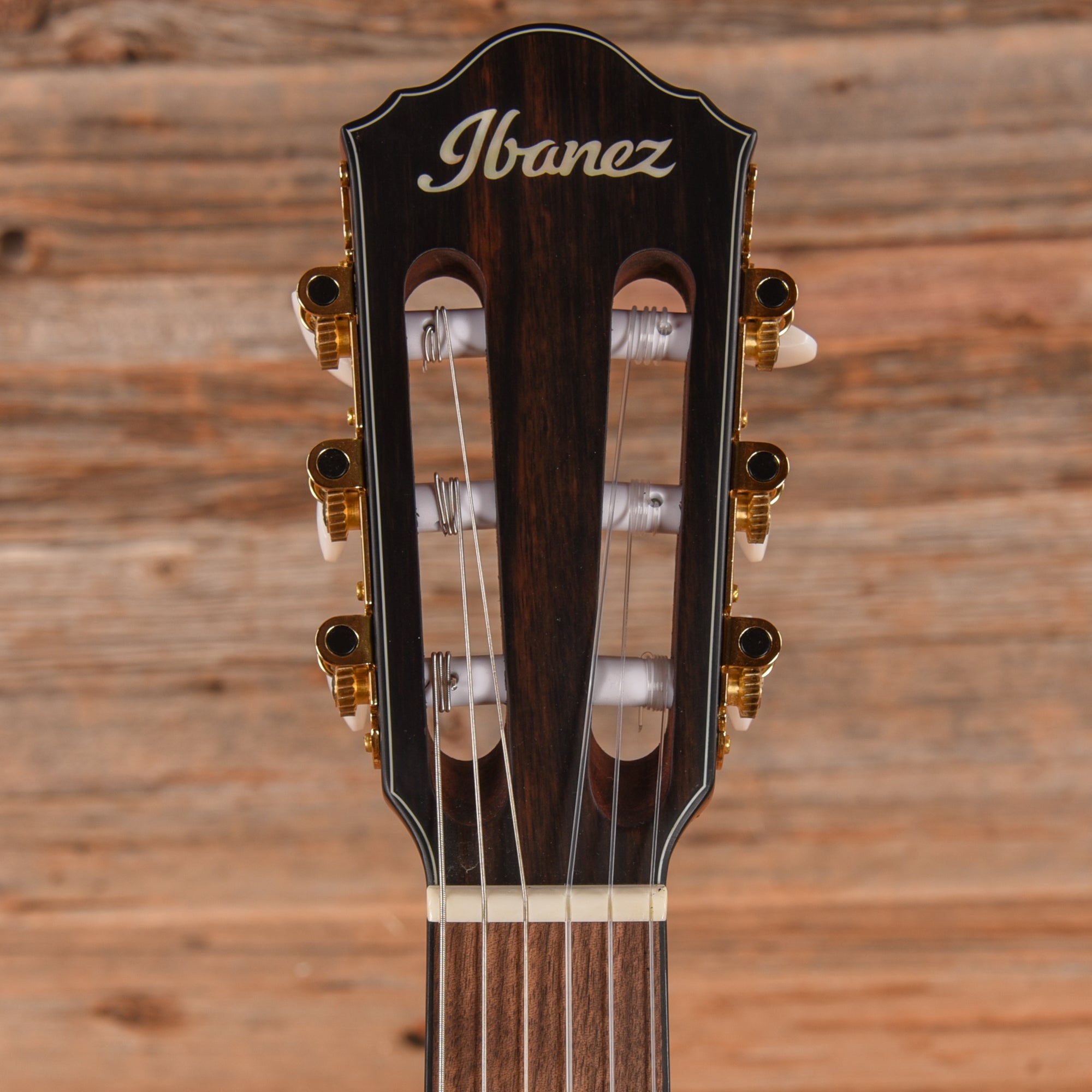 Ibanez FRH10N Sunburst 2024 Acoustic Guitars / Classical