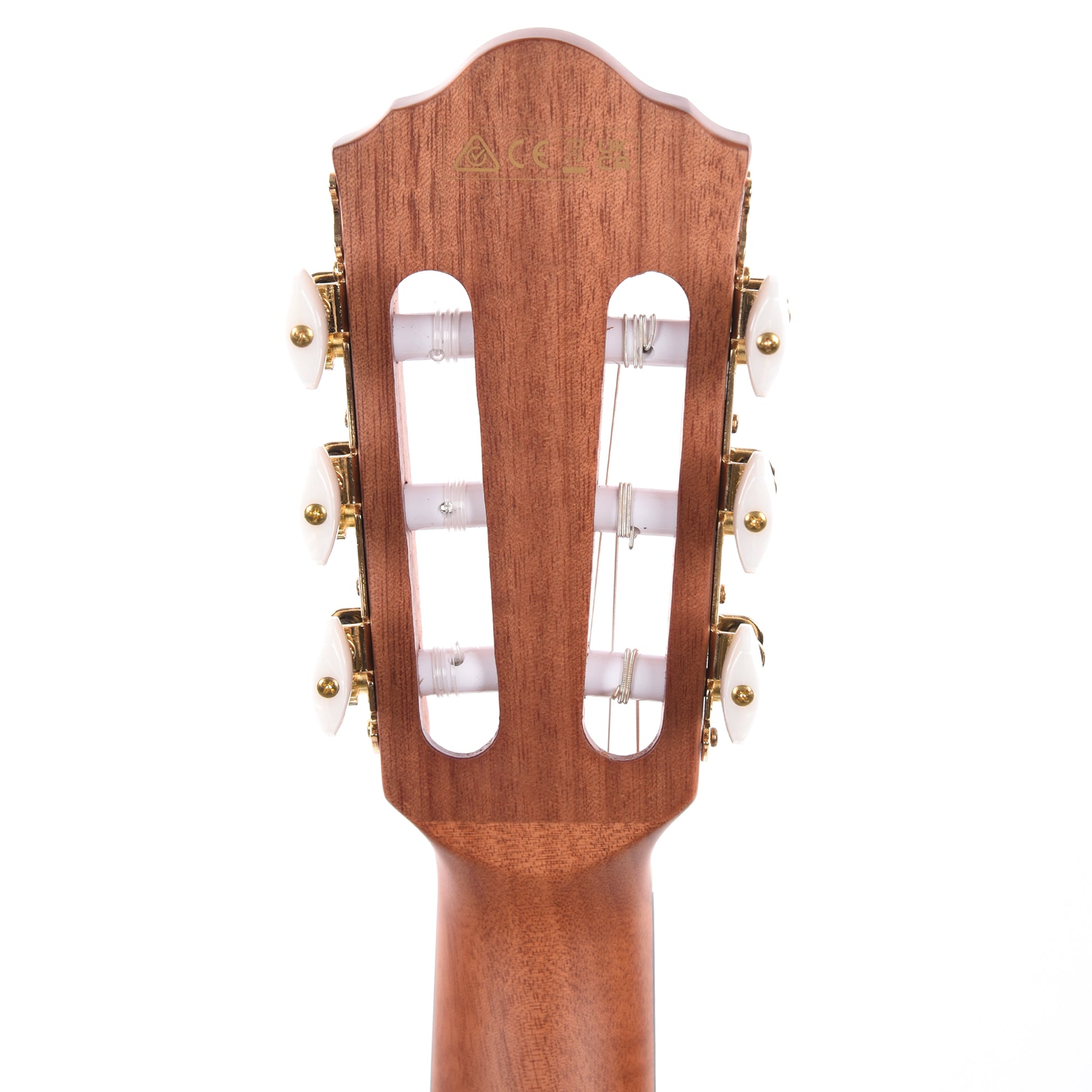 Ibanez FRH10NNTF Acoustic Guitar Natural Flat Acoustic Guitars / Classical