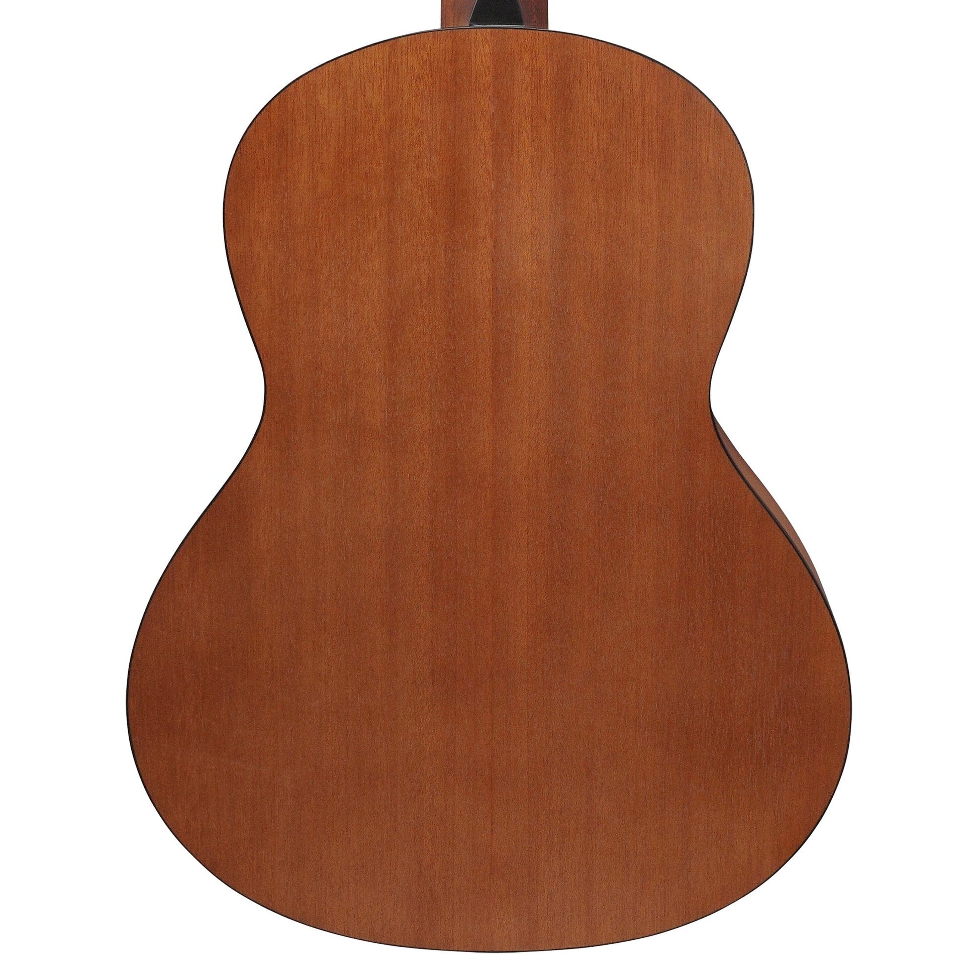 Ibanez GA2OAM Acoustic Guitar Open Pore Amber Acoustic Guitars / Classical