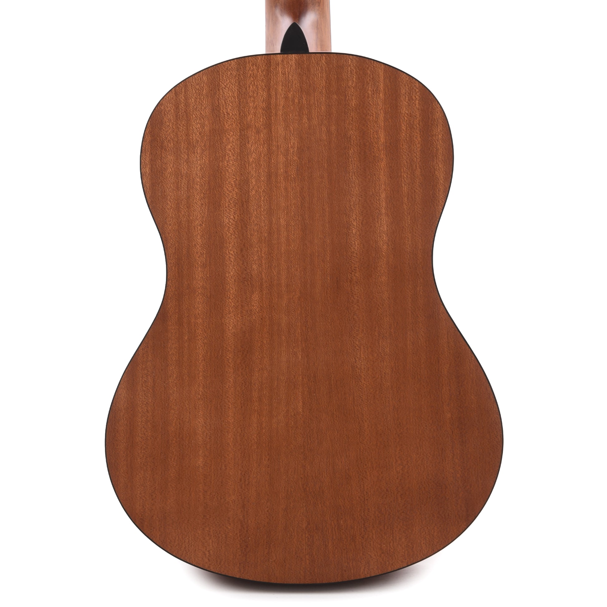 Ibanez GA3OAM Acoustic Guitar Open Pore Amber Acoustic Guitars / Classical