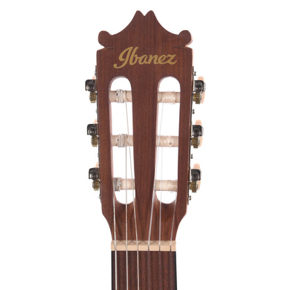 Ibanez GA3OAM Acoustic Guitar Open Pore Amber Acoustic Guitars / Classical