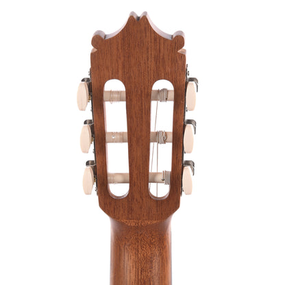 Ibanez GA3OAM Acoustic Guitar Open Pore Amber Acoustic Guitars / Classical