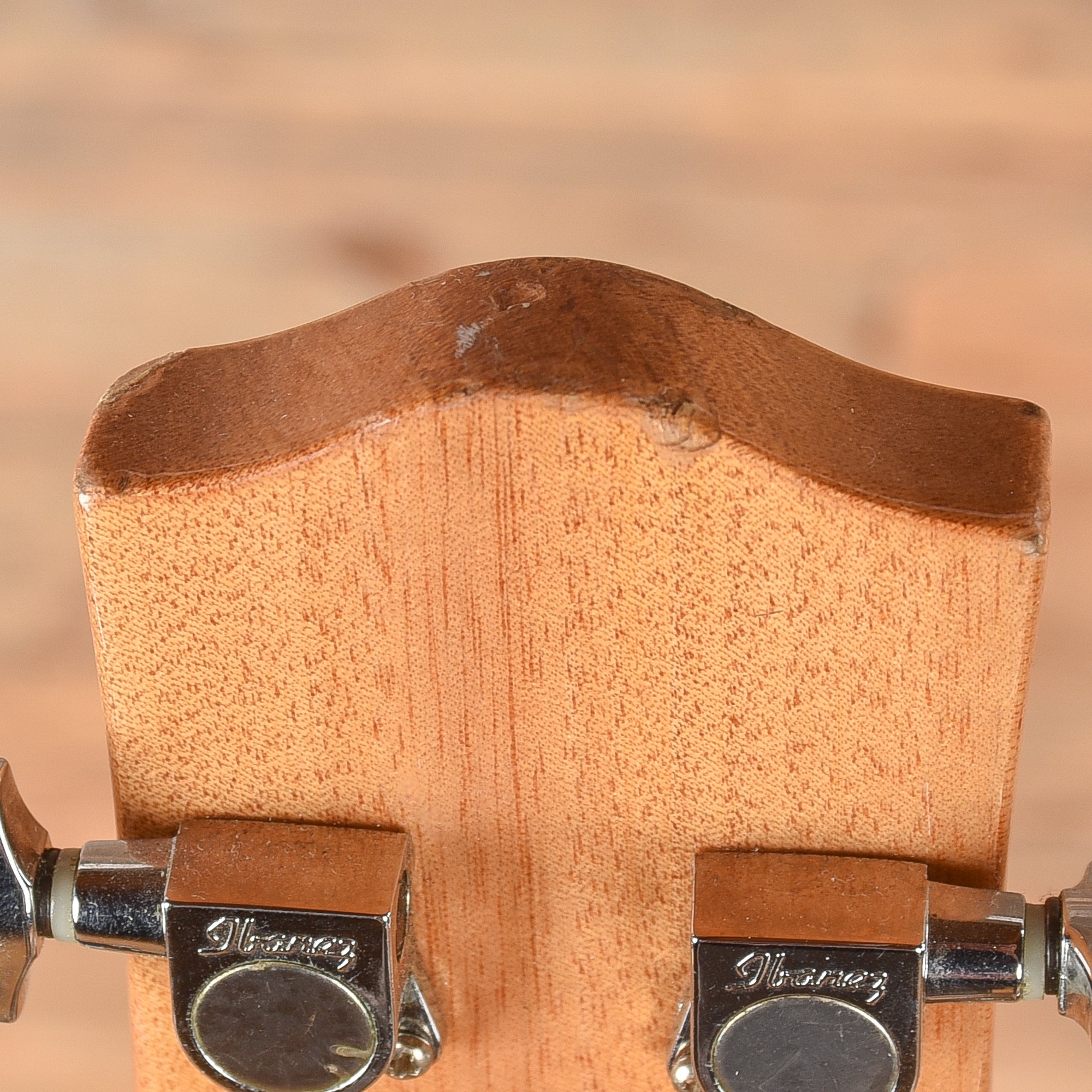 Ibanez EW2020ASNT Natural Acoustic Guitars / Dreadnought