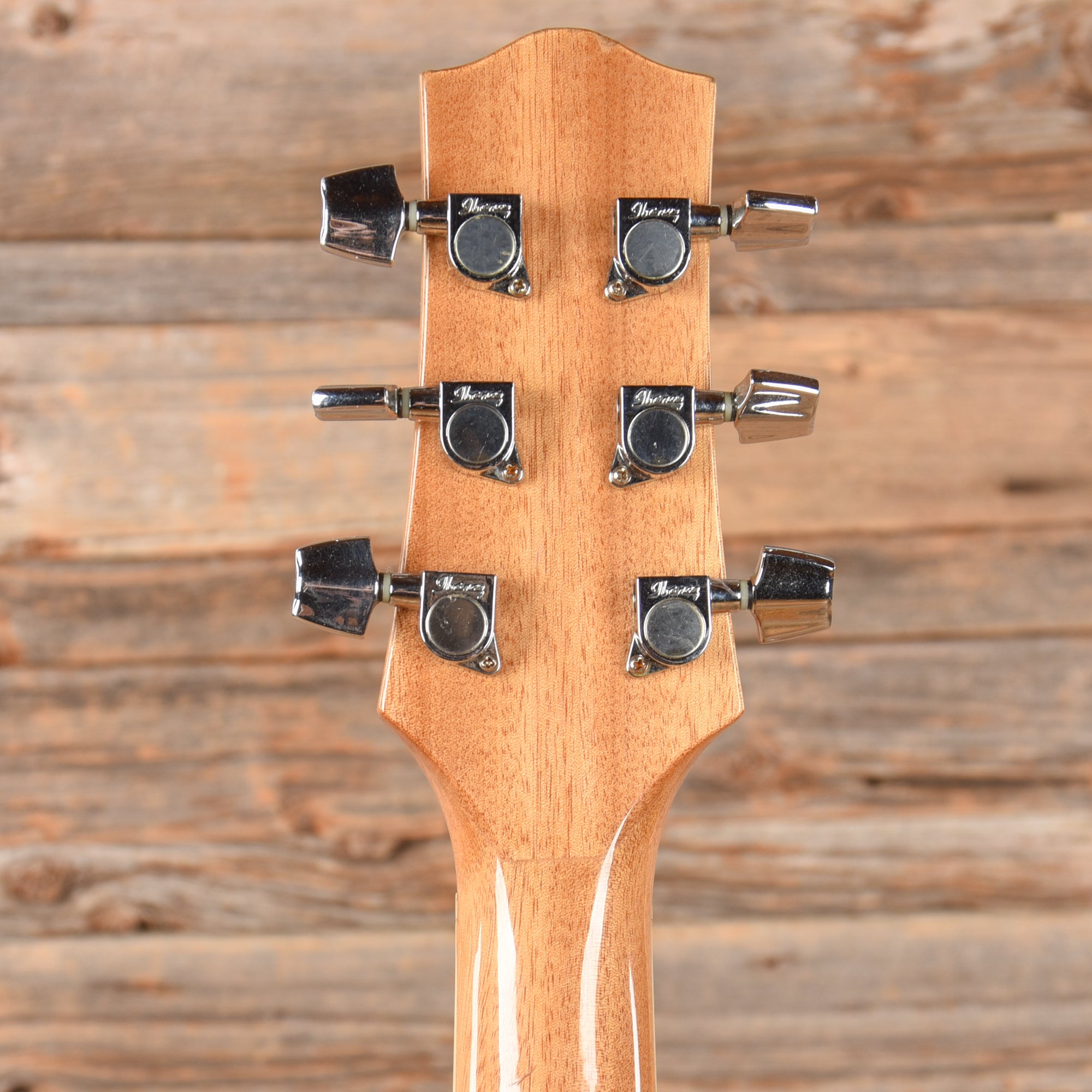 Ibanez EW2020ASNT Natural Acoustic Guitars / Dreadnought