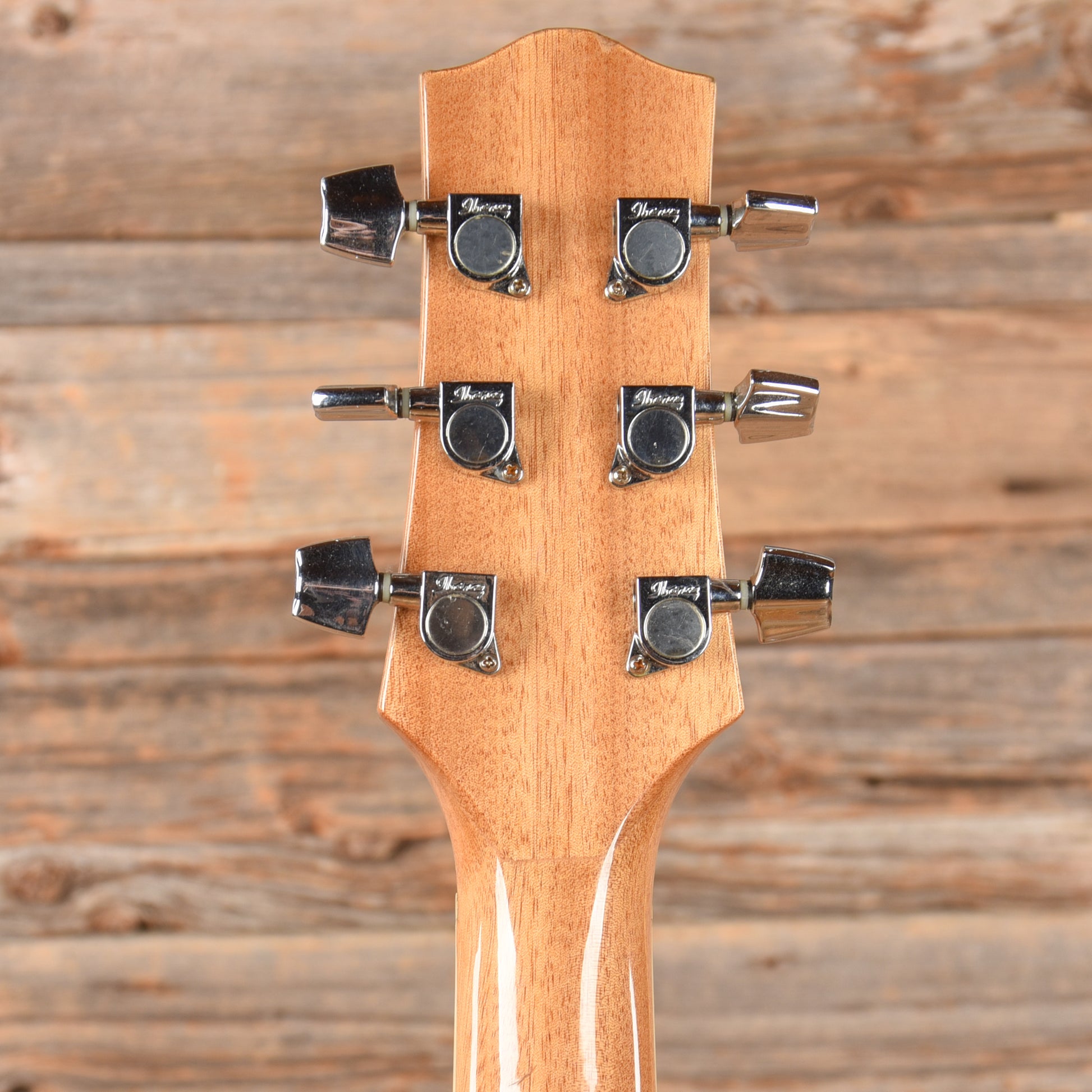 Ibanez EW2020ASNT Natural Acoustic Guitars / Dreadnought