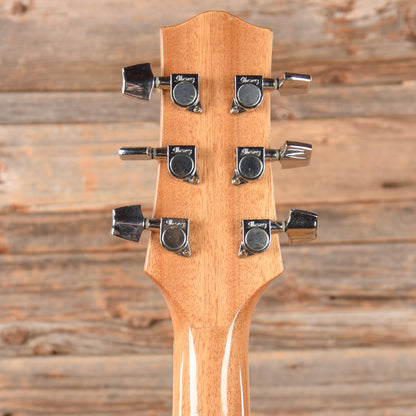 Ibanez EW2020ASNT Natural Acoustic Guitars / Dreadnought