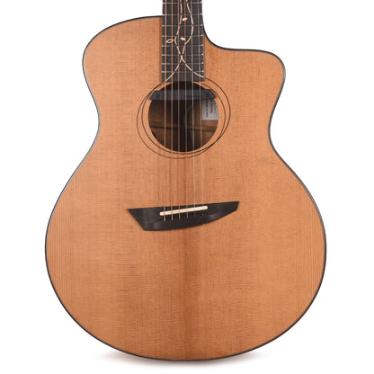 Ibanez JGM11 Limited Edition Jon Gomm Platinum Collection Acoustic Electric Guitar Acoustic Guitars / Dreadnought